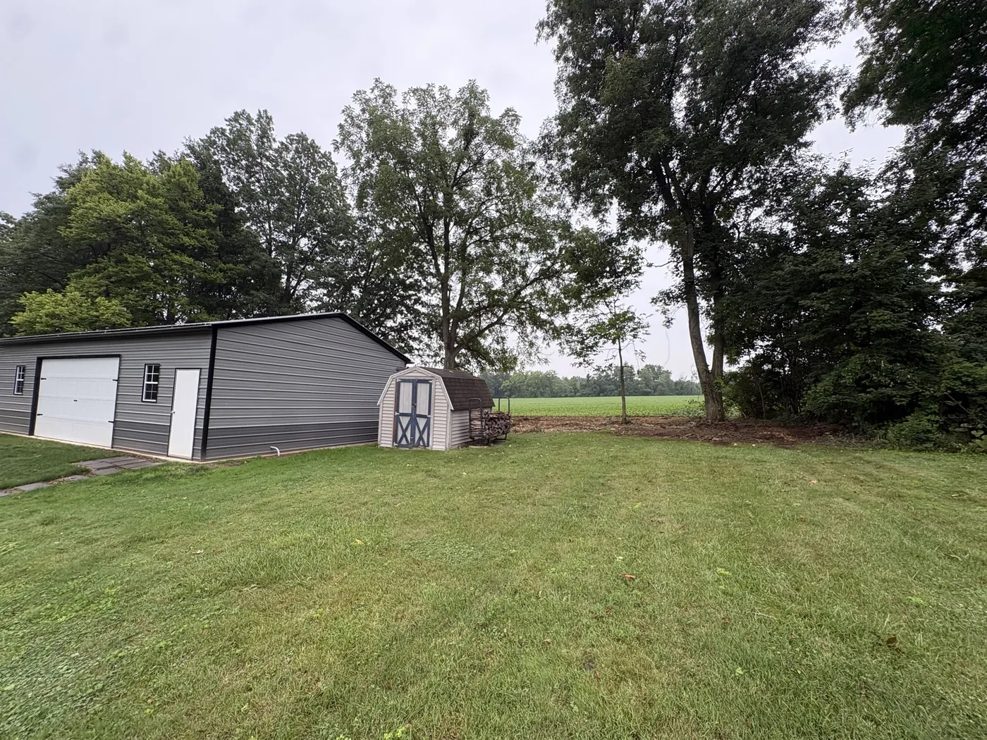 The treeline behind the pole barn after mulching, field visible through the kept trees