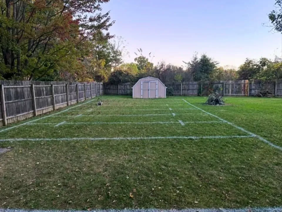 Fenced backyard with dense trees and brush closing in behind the back fence line