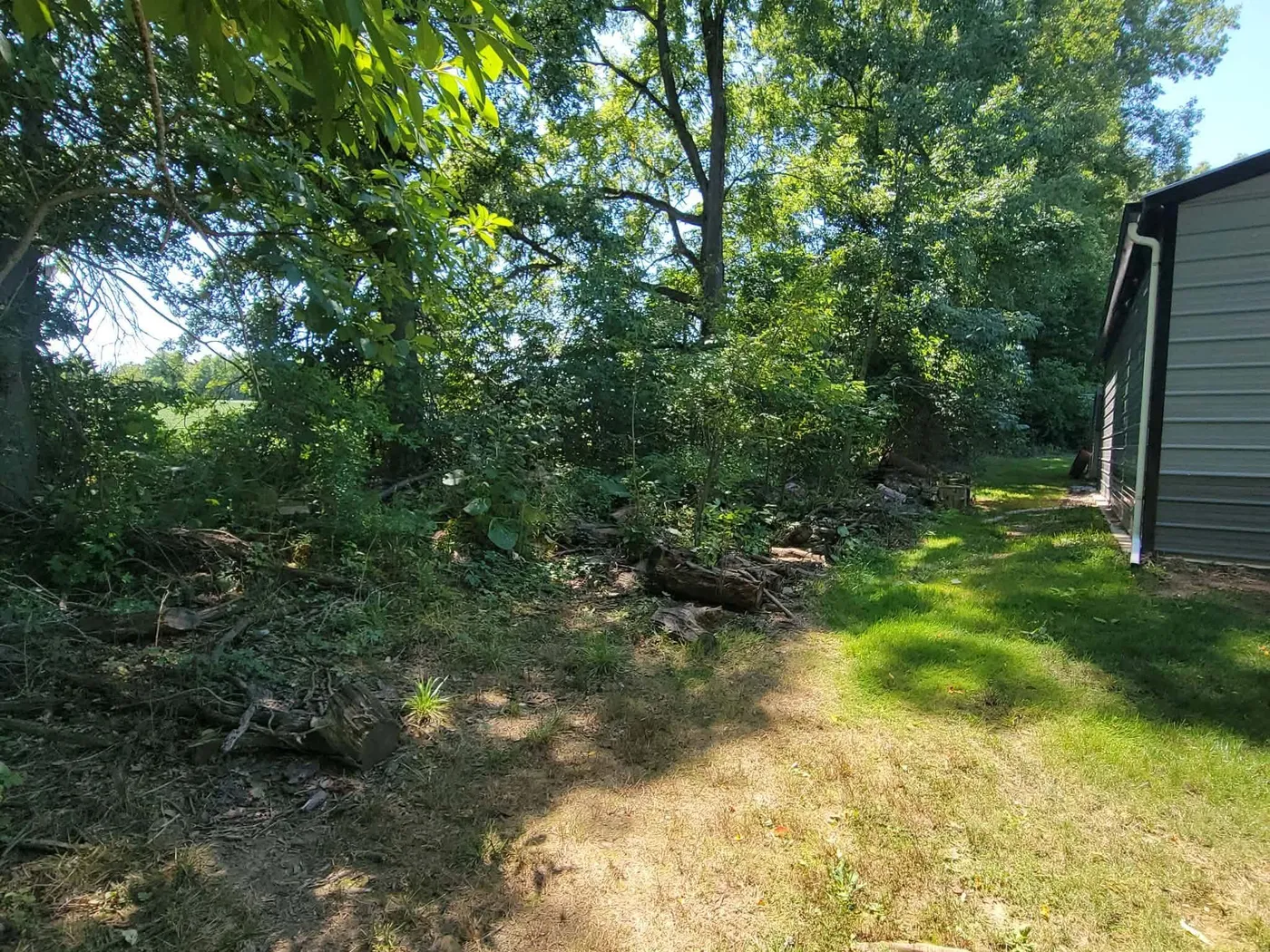 Brush and downed limbs piled at the corner of a barn before cleanup